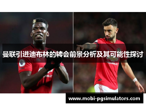 曼联引进迪布林的转会前景分析及其可能性探讨