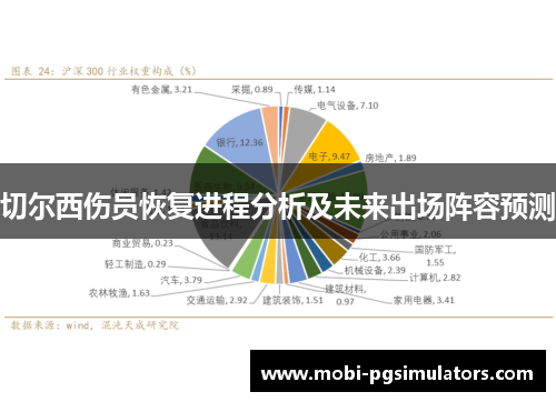切尔西伤员恢复进程分析及未来出场阵容预测