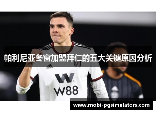 帕利尼亚冬窗加盟拜仁的五大关键原因分析