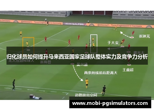 归化球员如何提升马来西亚国家足球队整体实力及竞争力分析