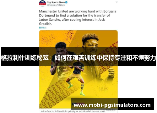 格拉利什训练秘笈：如何在艰苦训练中保持专注和不懈努力