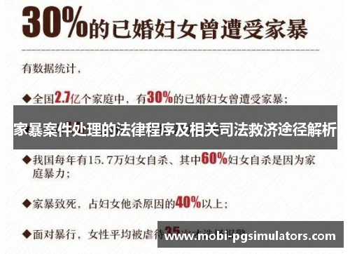 家暴案件处理的法律程序及相关司法救济途径解析