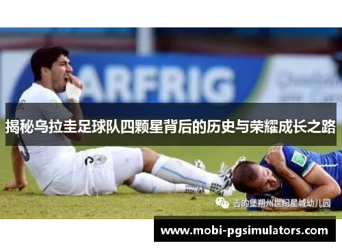 揭秘乌拉圭足球队四颗星背后的历史与荣耀成长之路