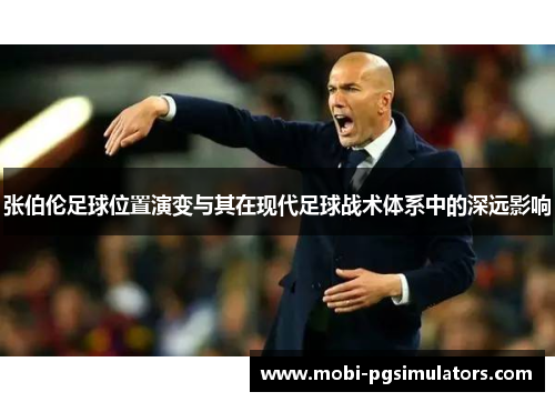 张伯伦足球位置演变与其在现代足球战术体系中的深远影响
