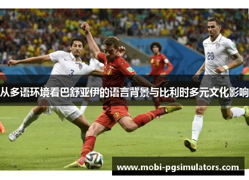 从多语环境看巴舒亚伊的语言背景与比利时多元文化影响