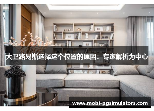 大卫路易斯选择这个位置的原因：专家解析为中心