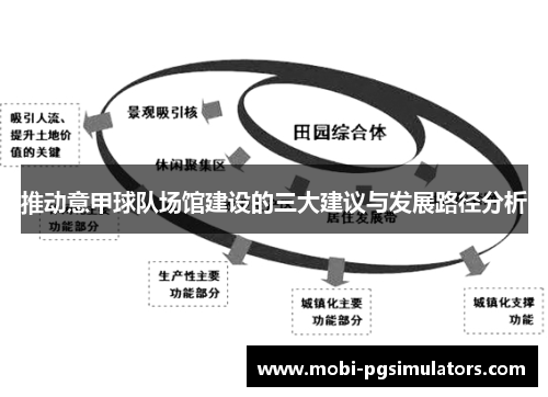 推动意甲球队场馆建设的三大建议与发展路径分析 推动意甲球队场馆建设的三大建议与发展路径分析