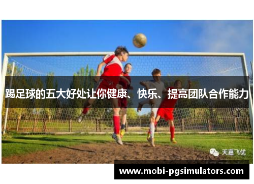踢足球的五大好处让你健康、快乐、提高团队合作能力