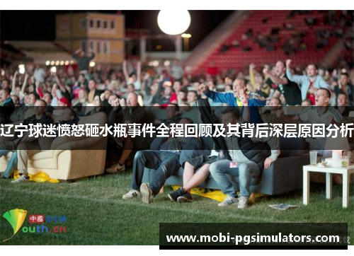 辽宁球迷愤怒砸水瓶事件全程回顾及其背后深层原因分析