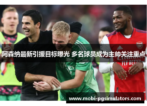 阿森纳最新引援目标曝光 多名球员成为主帅关注重点