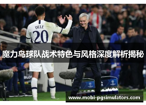 魔力鸟球队战术特色与风格深度解析揭秘
