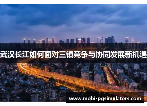 武汉长江如何面对三镇竞争与协同发展新机遇