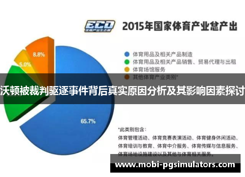 沃顿被裁判驱逐事件背后真实原因分析及其影响因素探讨
