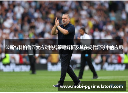 波斯特科格鲁五大应对挑战策略解析及其在现代足球中的应用