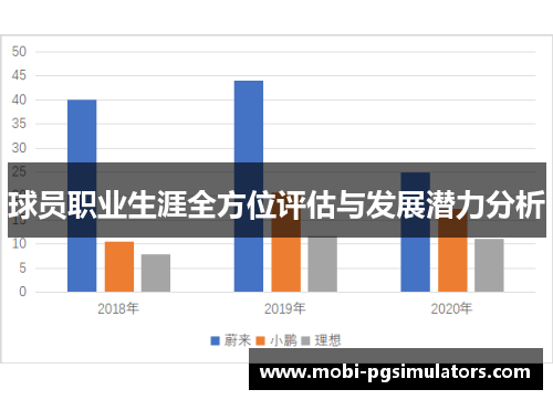 球员职业生涯全方位评估与发展潜力分析